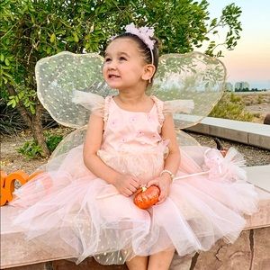 Light up pottery barn kids fairy costume